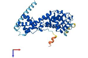 AlphaFold protein structure predicition of Human Recombinant ELMOD1 Protein, UniprotID Q8N336