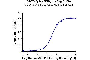 Immobilized SARS Spike RBD, His Tag at 2 μg/mL (100 μL/well) on the plate.