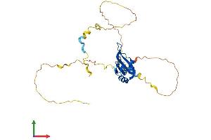 AlphaFold protein structure predicition of Human Recombinant PABPN1L Protein, UniprotID A6NDY0
