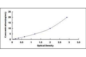 EGF-Like-Domain, Multiple 7 (EGFL7) ELISA Kit