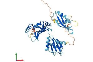 AlphaFold protein structure predicition of Human Recombinant DND1 Protein, UniprotID Q8IYX4