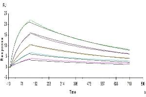 Human CD64, His Tag captured on CM5 Chip via anti-His antibody can bind Herceptin, hFc Tag with an affinity constant of 11.