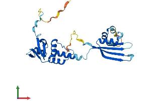 AlphaFold protein structure predicition of Mouse Recombinant Kctd1 Protein, UniprotID Q5M956
