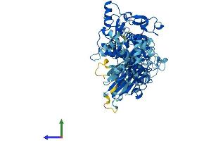 AlphaFold protein structure predicition of Human Recombinant CAPN8 Protein, UniprotID A6NHC0