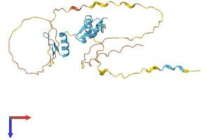 AlphaFold protein structure predicition of Mouse Recombinant Klf16 Protein, UniprotID P58334
