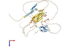 AlphaFold protein structure predicition of Human Recombinant RNF6 Protein, UniprotID Q9Y252