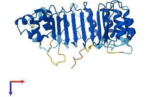 AlphaFold protein structure predicition of Mouse Recombinant Fbxl12 Protein, UniprotID Q9EPX5