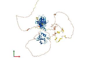 AlphaFold protein structure predicition of Mouse Recombinant Shc1 Protein, UniprotID P98083