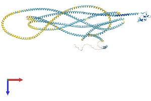 AlphaFold protein structure predicition of Mouse Recombinant Eea1 Protein, UniprotID Q8BL66