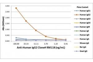 ELISA of human immunoglobulins shows recombinant Human IgG2 antibody only reacted to hIgG2. (Recombinant Lapin anti-Humain IgG2 Anticorps)