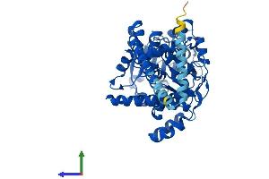 AlphaFold protein structure predicition of Human Recombinant FAR1 Protein, UniprotID Q8WVX9