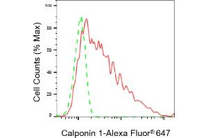 Flow cytometric analysis of Calponin 1 expression in C2C12 cells using Calponin 1 antibody (ABIN7797851), 1:2,000). (Recombinant CNN1 anticorps)