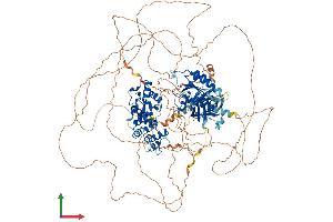 AlphaFold protein structure predicition of Human Recombinant AGAP2 Protein, UniprotID Q99490
