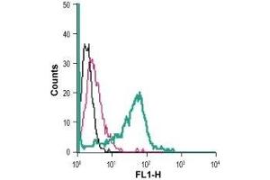 Cell surface detection of ADORA2b in live intact mouse J774 macrophage cells: (black line) Cells.