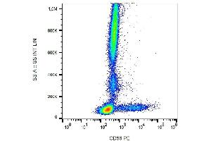 Surface staining of human peripheral blood with anti-human CD56 (LT56) APC. (CD56 anticorps  (APC))