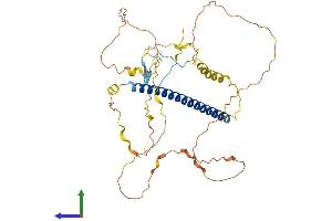 AlphaFold protein structure predicition of Mouse Recombinant Tsc22d4 Protein, UniprotID Q9EQN3