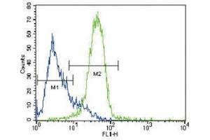 GATA4 antibody flow cytometric analysis of HepG2 cells (green) compared to a negative control (blue).
