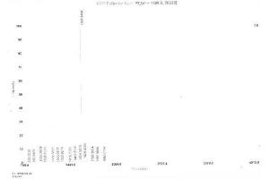 Image no. 1 for Copeptin (CPP) protein (KLH) (ABIN1880227) (Copeptin Protein (CPP) (KLH))