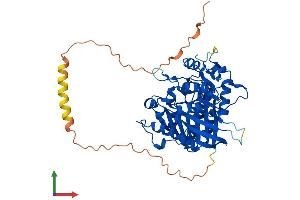 AlphaFold protein structure predicition of Mouse Recombinant Pld4 Protein, UniprotID Q8BG07