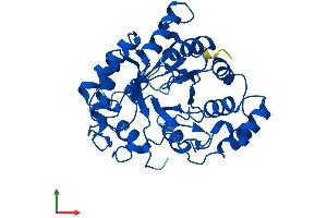 AlphaFold protein structure predicition of Human Recombinant AKR1C4 Protein, UniprotID P17516
