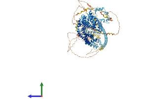 AlphaFold protein structure predicition of Human Recombinant DIAPH1 Protein, UniprotID O60610