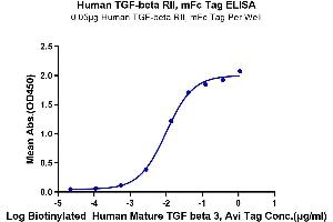 Immobilized Human TGF-beta RII, mFc Tag at 0.