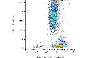 Flow cytometry analysis (surface staining) of human peripheral blood with anti-HLA-class I (MEM-123) purified, GAM-APC.