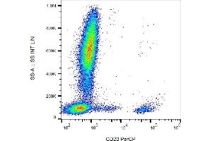 Flow cytometry analysis (surface staining) of human peripheral blood with anti-CD20 (2H7) PerCP. (CD20 anticorps  (PerCP))