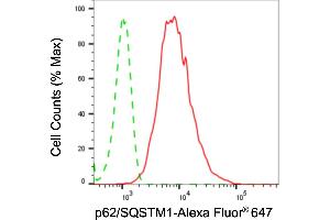 Flow cytometric analysis of p62/SQSTM1 expression in HepG2 cells using p62/SQSTM1 antibody (ABIN7800299), 1:2,000). (Recombinant SQSTM1 anticorps)