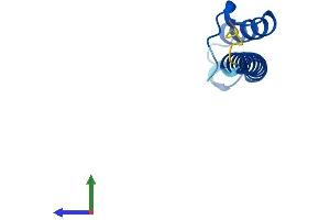 AlphaFold protein structure predicition of Mouse Recombinant Cmc2 Protein, UniprotID Q8K199
