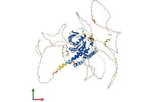 AlphaFold protein structure predicition of Mouse Recombinant Ptpn22 Protein, UniprotID P29352