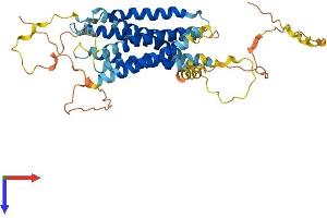 AlphaFold protein structure predicition of Human Recombinant GPR150 Protein, UniprotID Q8NGU9