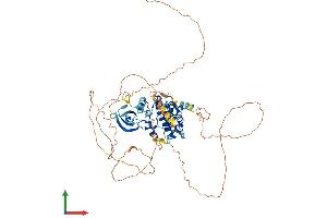 AlphaFold protein structure predicition of Mouse Recombinant Nuak2 Protein, UniprotID Q8BZN4