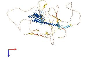 AlphaFold protein structure predicition of Mouse Recombinant Rabl6 Protein, UniprotID Q5U3K5