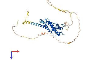AlphaFold protein structure predicition of Human Recombinant PRR5 Protein, UniprotID P85299