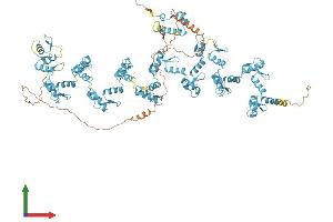 AlphaFold protein structure predicition of Human Recombinant ZNF836 Protein, UniprotID Q6ZNA1