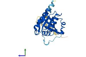 AlphaFold protein structure predicition of Human Recombinant ARL15 Protein, UniprotID Q9NXU5