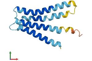 AlphaFold protein structure predicition of Mouse Recombinant Leprotl1 Protein, UniprotID Q9CQ74