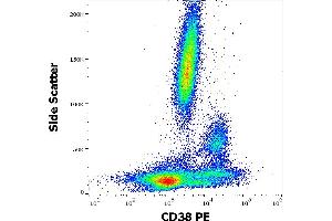 Flow cytometry surface staining pattern of human peripheral whole blood stained using anti-human CD38 (HIT2) PE antibody (20 μL reagent / 100 μL of peripheral whole blood). (CD38 anticorps  (PE))