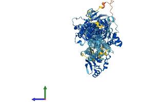 AlphaFold protein structure predicition of Human Recombinant ATP2A2 Protein, UniprotID P16615