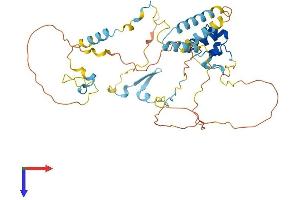 AlphaFold protein structure predicition of Mouse Recombinant Dmtn Protein, UniprotID Q9WV69