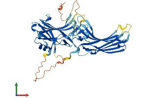 AlphaFold protein structure predicition of Human Recombinant ARRB1 Protein, UniprotID P49407