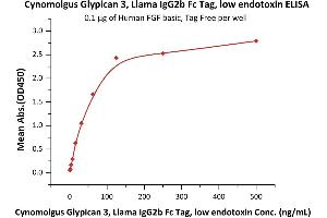 Immobilized Human FGF basic, Tag Free (ABIN2444057,ABIN2180650,ABIN2180649) at 1 μg/mL (100 μL/well) can bind Cynomolgus Glypican 3, Llama IgG2b Fc Tag, low endotoxin (ABIN6810032,ABIN6938868) with a linear range of 1-63 ng/mL (QC tested).