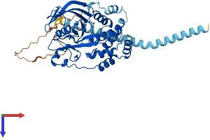 AlphaFold protein structure predicition of Mouse Recombinant Ptpn2 Protein, UniprotID Q06180