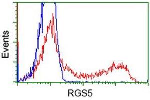 HEK293T cells transfected with either RC206857 overexpress plasmid (Red) or empty vector control plasmid (Blue) were immunostained by anti-RGS5 antibody (ABIN2454699), and then analyzed by flow cytometry. (RGS5 anticorps  (AA 1-181))