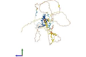 AlphaFold protein structure predicition of Human Recombinant FOXD1 Protein, UniprotID Q16676