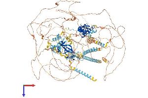 AlphaFold protein structure predicition of Mouse Recombinant Rere Protein, UniprotID Q80TZ9