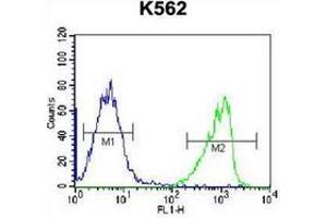 Flow cytometric analysis of K562 cells using Intrinsic factor Antibody (Center) Cat.
