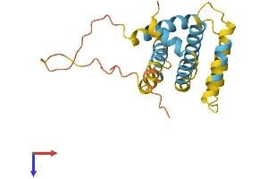 AlphaFold protein structure predicition of Human Recombinant BID Protein, UniprotID P55957