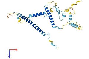 AlphaFold protein structure predicition of Mouse Recombinant Leng1 Protein, UniprotID Q9DB98